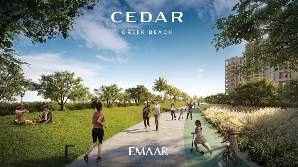 Cedar gallery