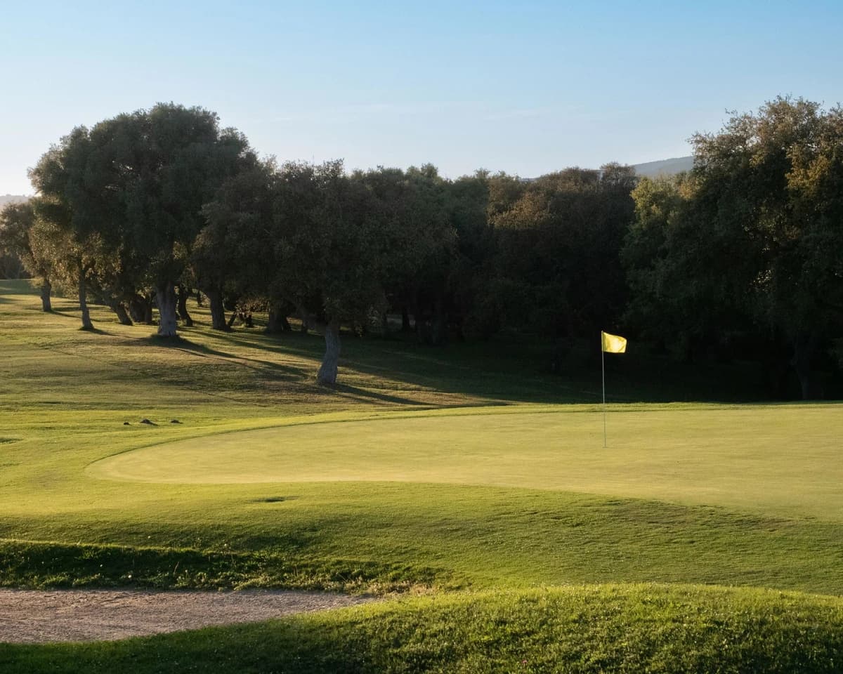 Golf Meadow gallery